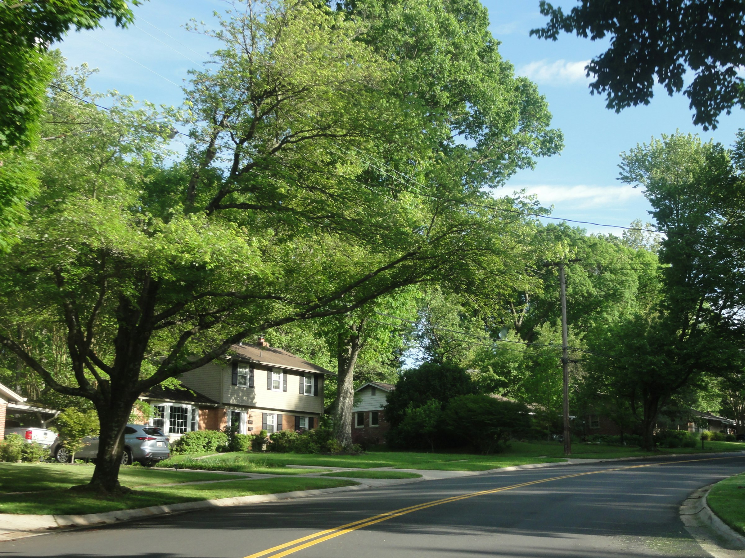 A tree-lined residential street in a Redstone neighborhood on a clear afternoon.